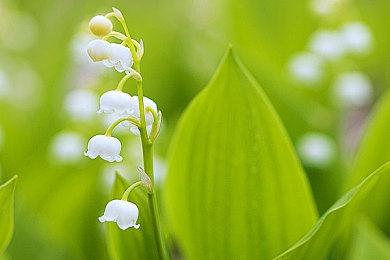 《沙丘：觉醒》发售两周 PC Steam销量超过100万